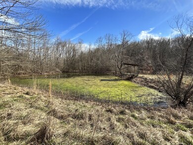 196 Petty Hollow Rd, Prospect, TN 38477 - photo 6