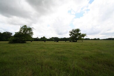 TBD 10a Texas 78, Bonham, TX 75418 - photo 4