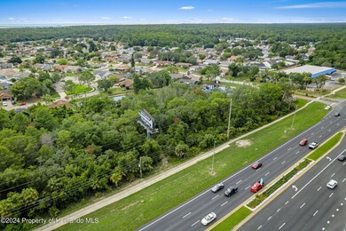 3-web-or-mls-DJI_0254