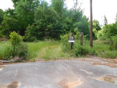 399 Travelers Rest Rd, Montezuma, GA 31063 - photo 7