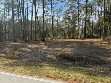 183 Straits Dr, Beaufort, NC 28516 - photo 3