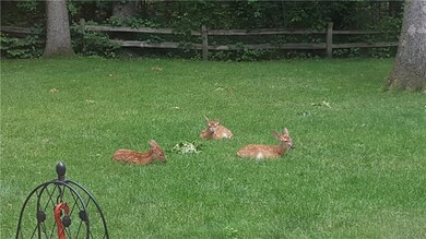 5431 N Lindsay, La Porte, IN 46350 - photo 2