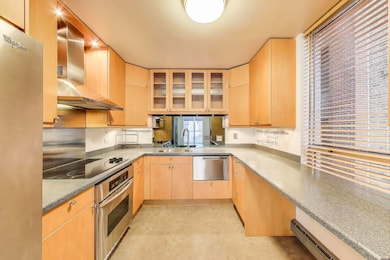 201 E Chestnut St unit 19F, Chicago, IL 60611 - photo 6