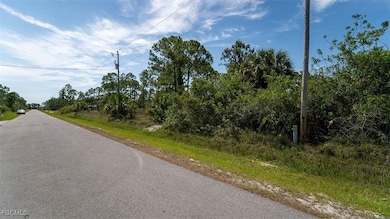 2409 62nd Ave NE, Rural Estates, FL 34120 - photo 4
