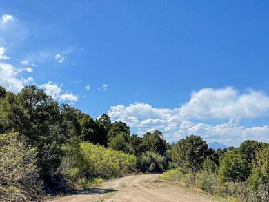 33011 Pine Nut Dr unit 63, Trinidad, CO 81082 - photo 3