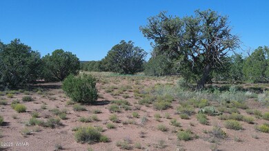 4434 Indian Bend Rd, Snowflake, AZ 85937 - photo 5