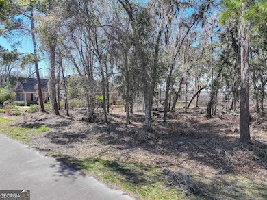 0 Riverview Dr W unit 10523000, St. Marys, GA 31558 - photo 6