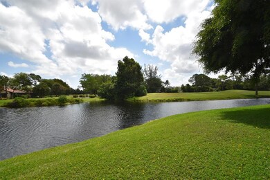 View - 1