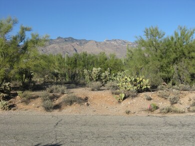 Streetscape view, FLAT & Catalina Mtns!