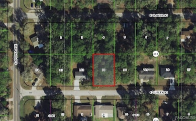 6361 E Gurley St, Inverness Highlands South, FL 34452 - photo 6