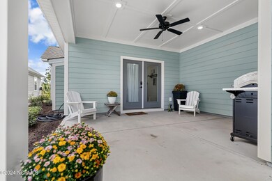 3949 Amaranth Aly, Wilmington, NC 28412 - photo 6