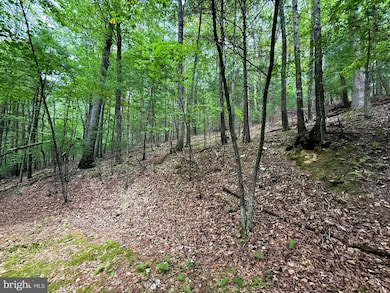 Lot 18B Wits End, Mathias, WV 26812 - photo 2