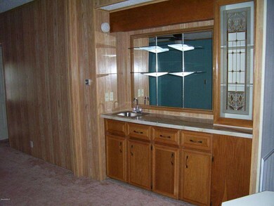 620dolphin_2