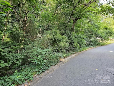 00 General Griffith Cir unit 31, Rutherfordton, NC 28139 - photo 3