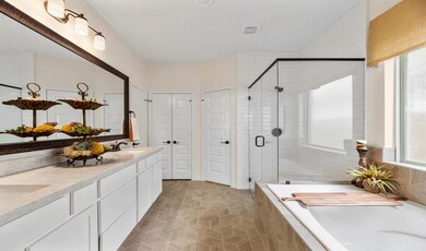 Owner's Luxury Bath