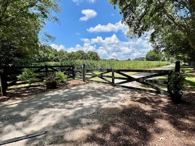 5829 Cr 6, Florence, AL 35633 - photo 6