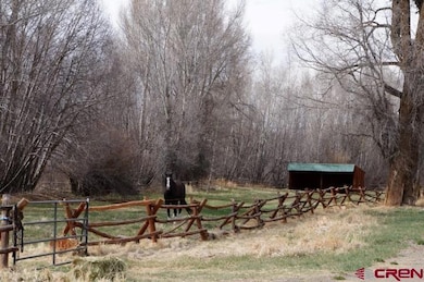 433 Meadow View Trail, Gunnison, CO 81230 - photo 7