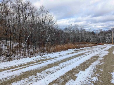 41 Moose Hollow Rd, Winhall, VT 05340 - photo 7