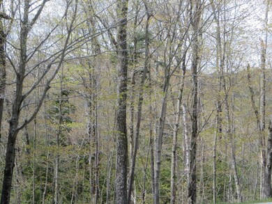 0 New Mirror Lake Village unit 4796590, Wilmington, VT 05363 - photo 5