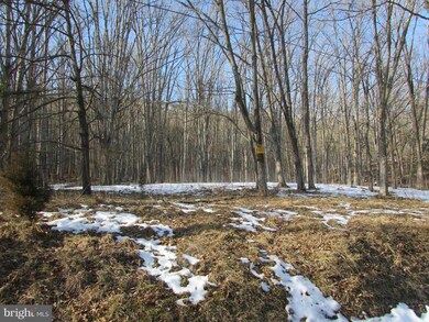 66 Trough Rd, Moorefield, WV 26836 - photo 6