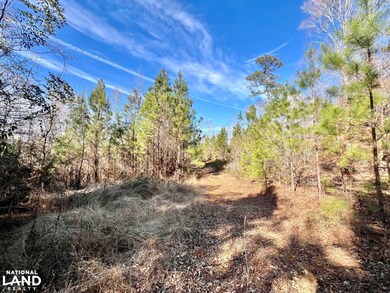 0 Old Claiborne Rd unit 25514029, Thomasville, AL 36784 - photo 7