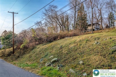 0 Spengler Ave, Chestnut Hill, PA 18040 - photo 3