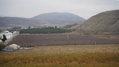 27 S Janis Rd Riverside, Tonasket, WA 98855 - photo 4