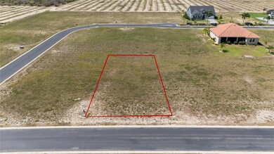 358 Adams View Ln, Auburndale, FL 33823 - photo 4