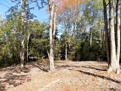 Partially cleared building site