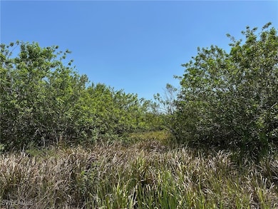 0 6th Ave unit 225052101, Labelle, FL 33935 - photo 4