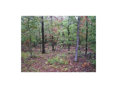 unlisted-address, Greenland, AR 72774 - photo 4