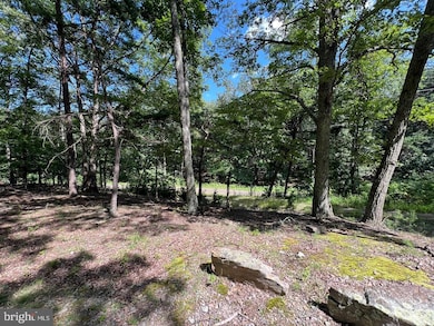 634 Island Ridge Rd, Romney, WV 26757 - photo 4