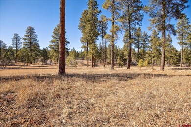 699 N Lakeside Dr, Durango, CO 81303 - photo 3