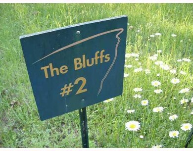 Land/Lot. Wildflowers b loom in abundance in spring sn summer.