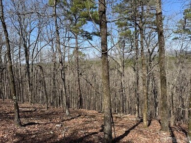 0 Fox Ridge Rd unit 25010505, Little Rock, AR 72223 - photo 3