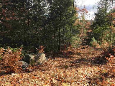 0 Timberline unit 4617964, Bartlett, NH 03812 - photo 5