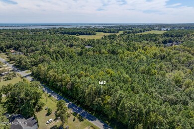 WattsLandingDrone-10