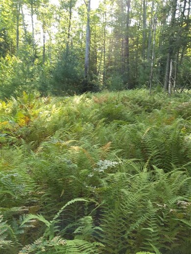 00 Slate Ledge Rd, Littleton, NH 03561 - photo 7