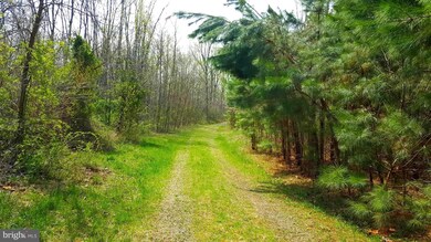 0 Stonewall Jackson Hwy unit 1001864226, Front Royal, VA 22630 - photo 3