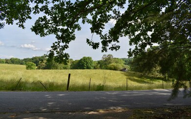 1621 Weeks Rd, Ellijay, GA 30540 - photo 2