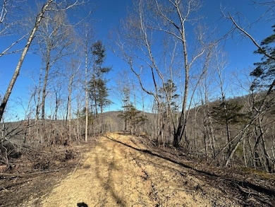 00 Garrett Ln, Allons, TN 38541 - photo 7