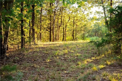 14630 E Wallin Mountain Rd, West Fork, AR 72774 - photo 6