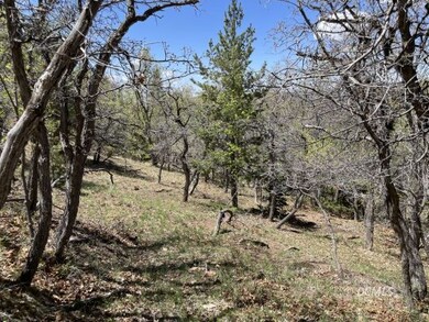 Of the property-just surveyed