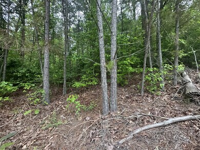 230 Roberts Creek Rd, Waverly, TN 37185 - photo 6