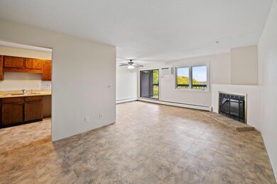 Trenton Place unit 315, Plymouth, MN 55442 - photo 2