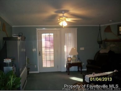 41 Dixie Trail Rd, Lumber Bridge, NC 28357 - photo 5