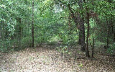 1893 Loncala Loop, Fort White, FL 32038 - photo 4