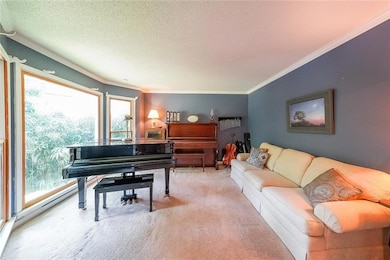 Living room New bay window, carpet will be replaced upon removal of  pianos .Flooring has been purchased and will match the rest of the main level
