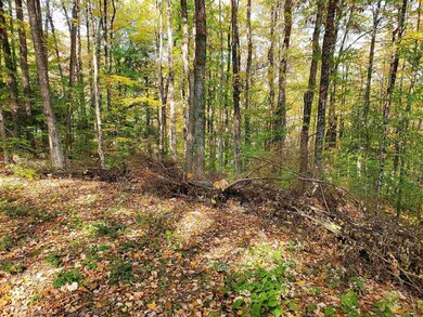 0 Miller Ln, Williamsville, VT 05362 - photo 7