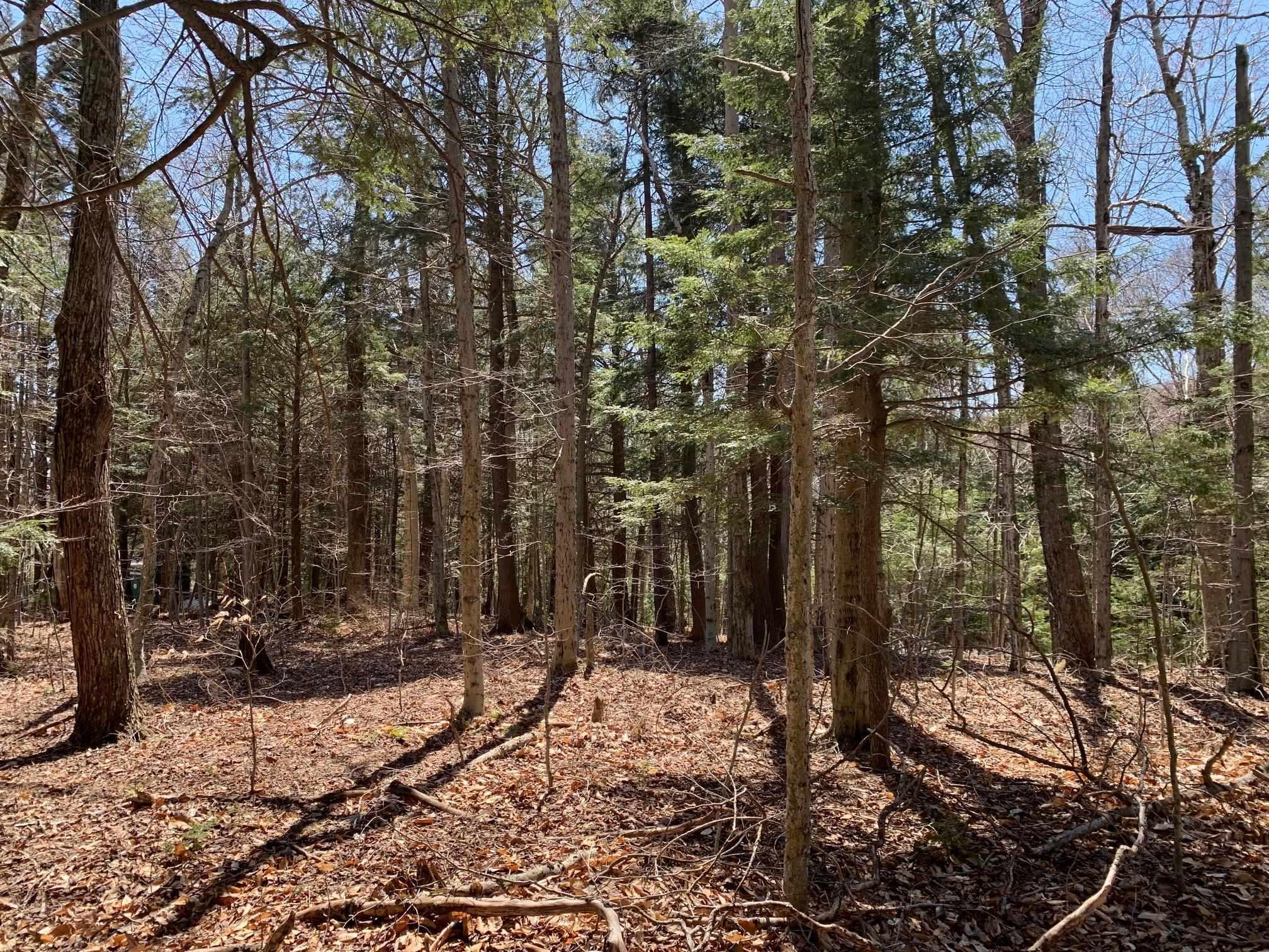 2 Brook Ln unit 38, Wilmington, VT 05363 - photo 2